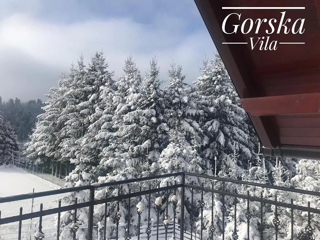 Gorska Vila Lokvarsko Jezero ロクヴェ ヴィラ