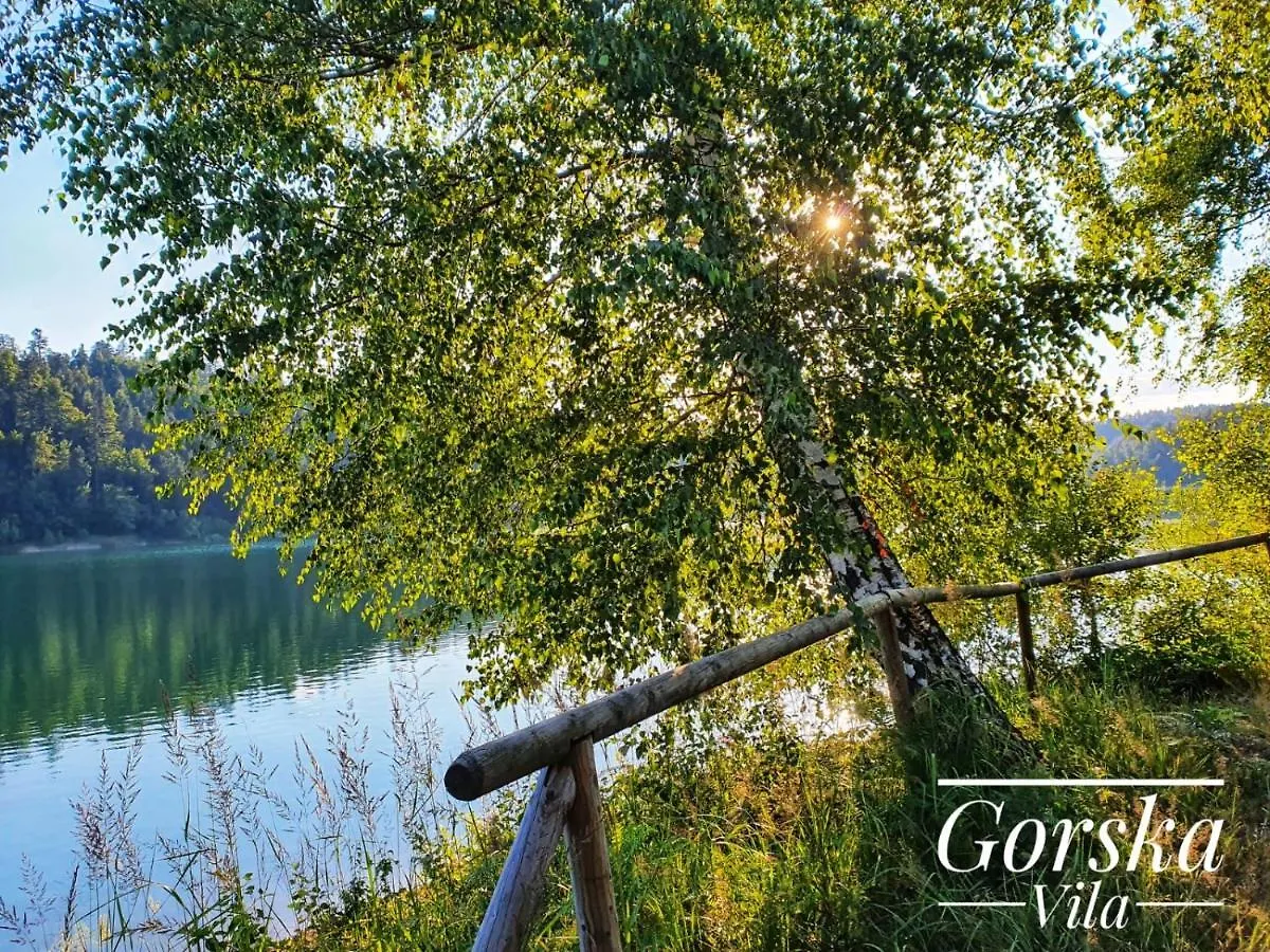 Gorska Vila Lokvarsko Jezero ロクヴェ